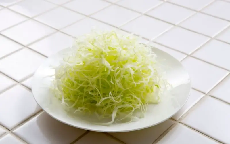 https://kitchendoings.com/wp-content/uploads/2021/10/can-you-shred-lettuce-in-a-food-processor.jpg