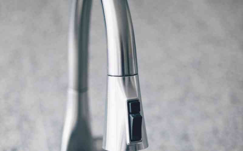 kitchen faucet with pull down sprayer