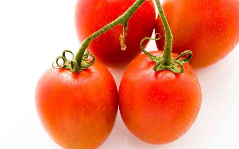 are roma tomatoes the same as plum tomatoes