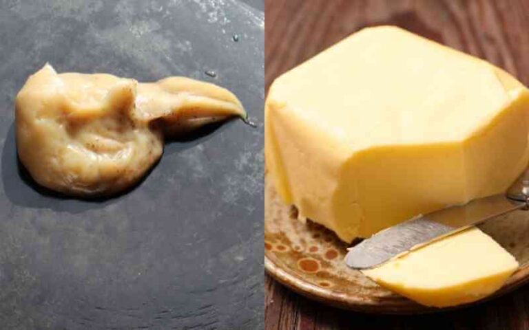 bacon fat vs butter