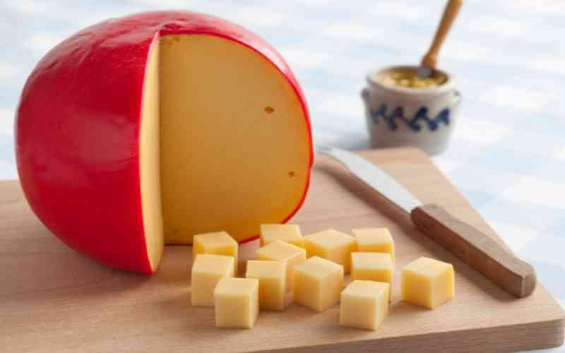 edam cheese