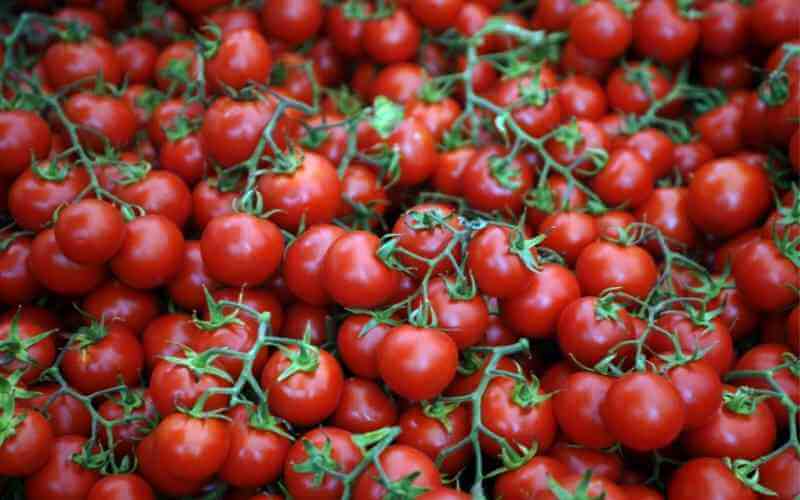 grape tomatoes