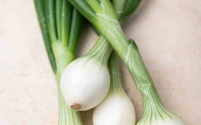 spring onion substitutes