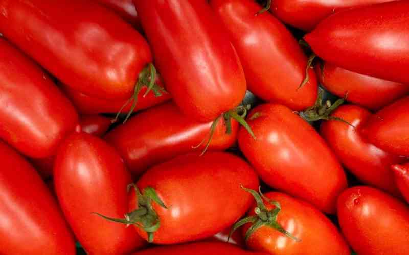 why are san marzano tomatoes the best