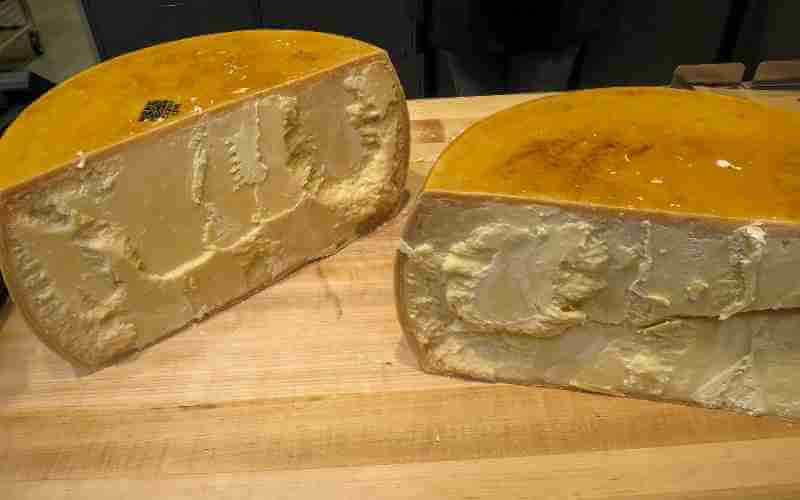 romano cheese