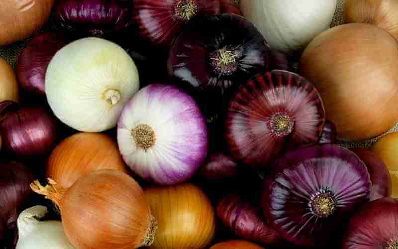 substitutes for onions