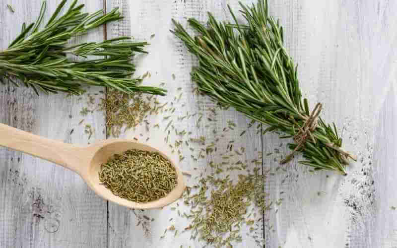 substitutes for rosemary