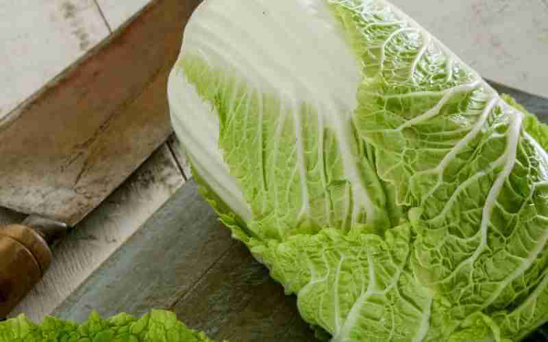 chinese lettuce