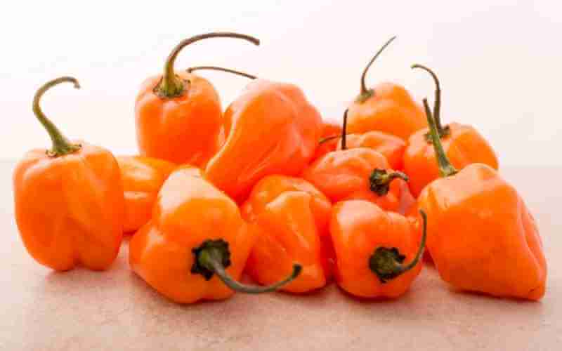 habanero pepper substitutes