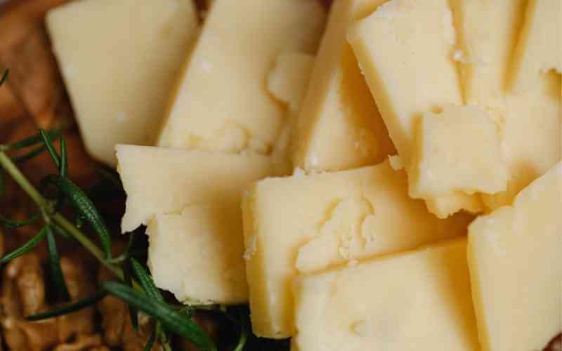 close up shot of cheese