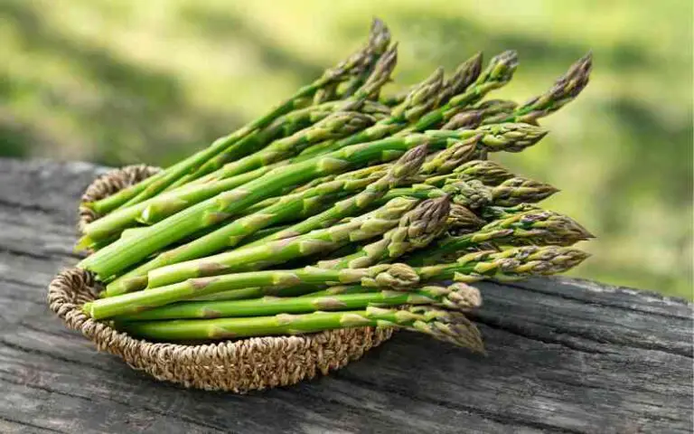 what does asparagus taste like